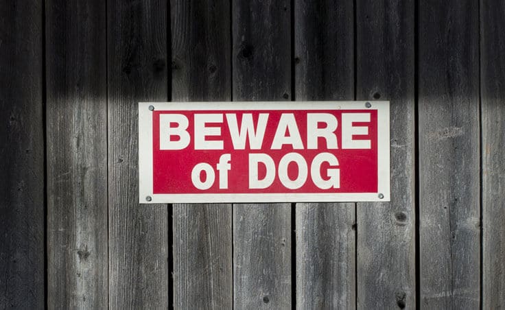 Dallas Dog Bite Lawyer - No-Win No-Fee | Montgomery Law